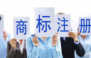 蘇州正規(guī)商標(biāo)注冊(cè) 如何在經(jīng)濟(jì)與商務(wù)信息咨詢服務(wù)中尋找高性價(jià)比之選